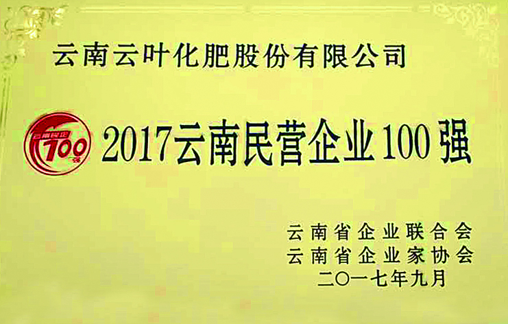 2017民营企业100强